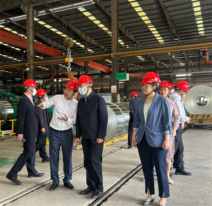 民建中央領(lǐng)導走訪我司